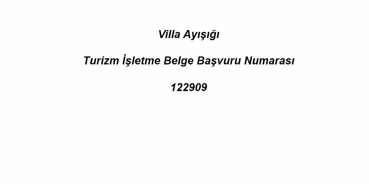 Villa Ayışığı 33