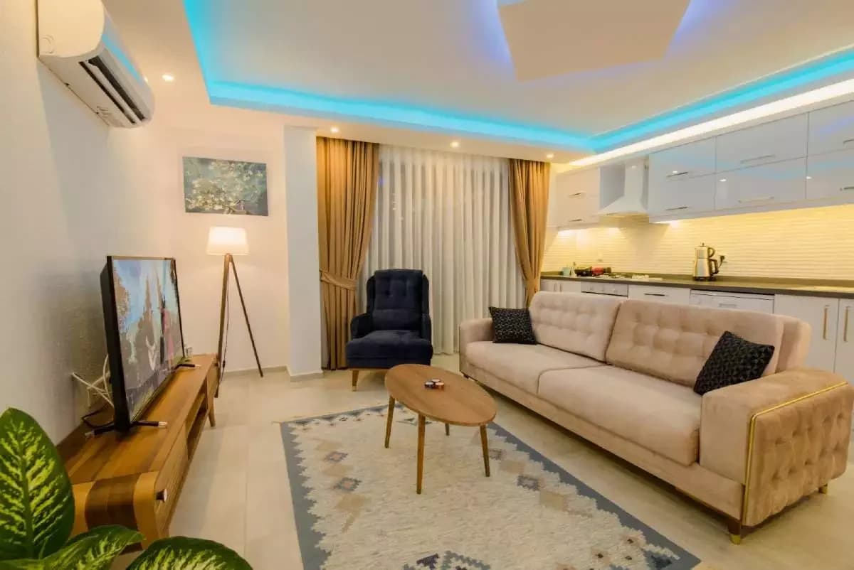 Suit Blueberry 10