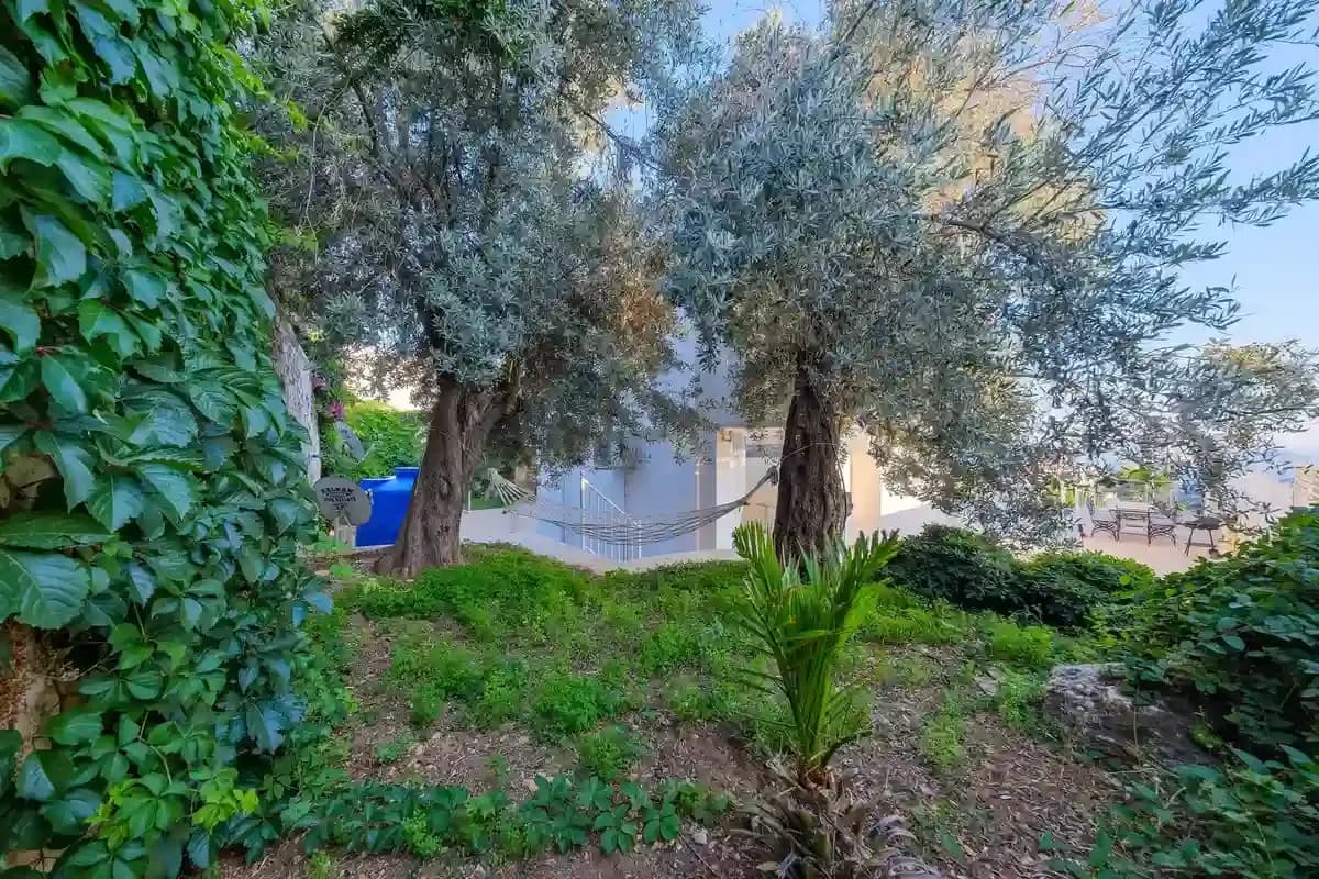 Villa Lumiere 2 28