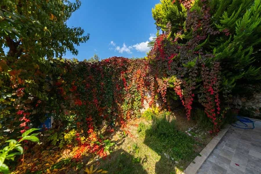 Villa Sultan İslamlar 18