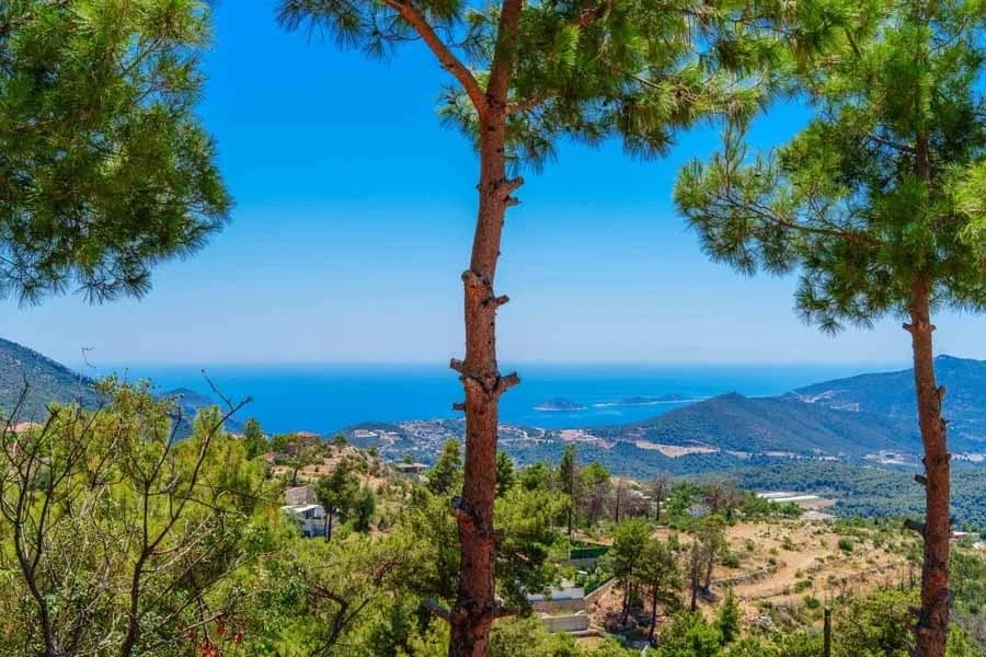 Villa Manzara İslamlar 10