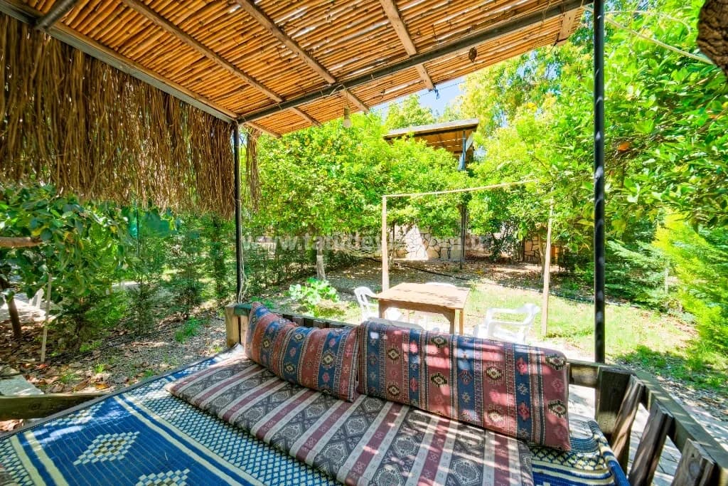 Bungalov Avokado 4 5