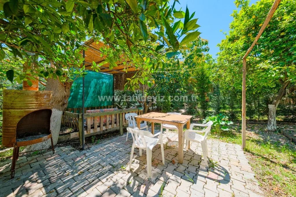Bungalov Avokado 5 2