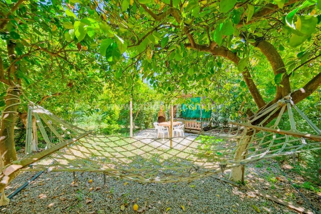 Bungalov Avokado 5 8